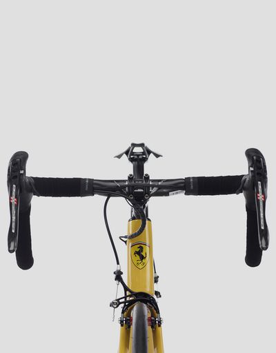 ナンバー入りのリミテッドエディション 