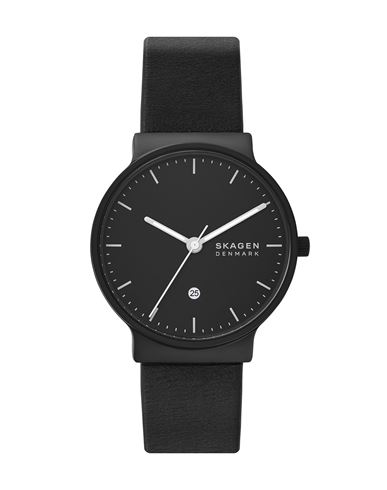 фото Наручные часы skagen