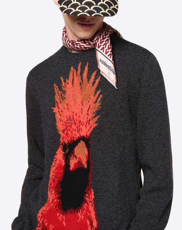 cardinal bird sweater