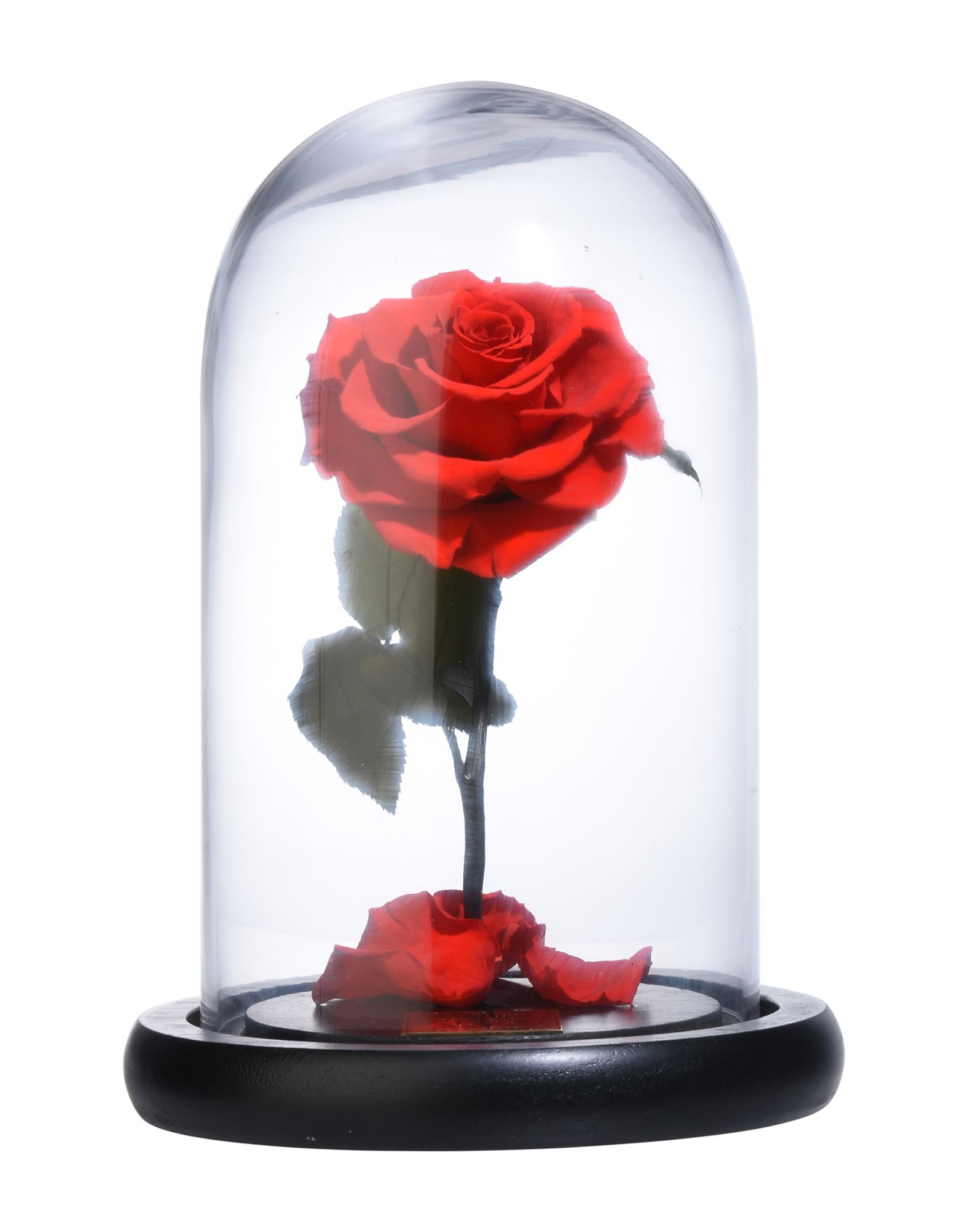 《期間限定セール開催中!》FOREVER ROSE London Unisex 雑貨 レッド ガラス Mini Bella Rose