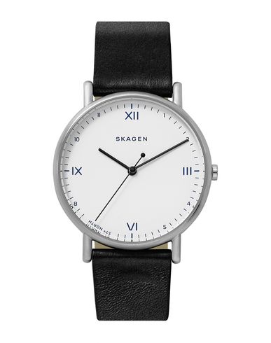 фото Наручные часы Skagen