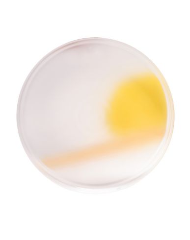 Nude Collection Pigmento Decorative Plate Light Yellow Size - Glass