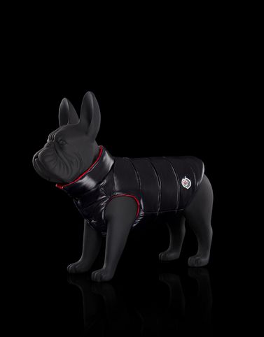moncler pet sale